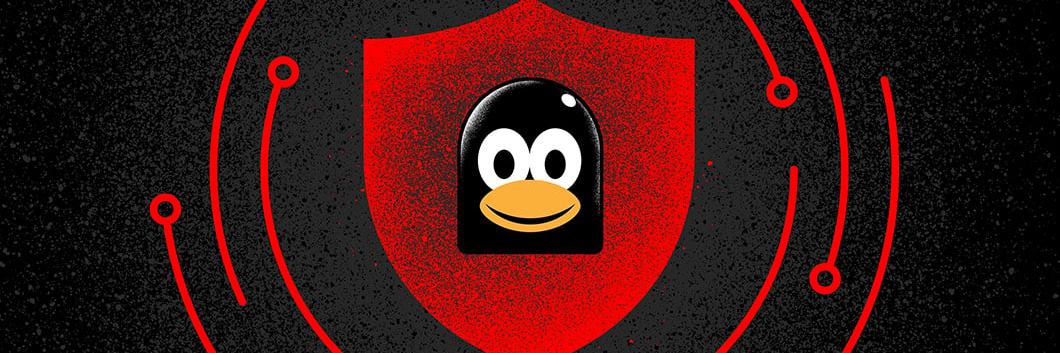 Se duplican los ciberataques con exploits contra usuarios de Linux